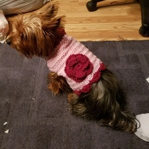 Crocheted dog sueter